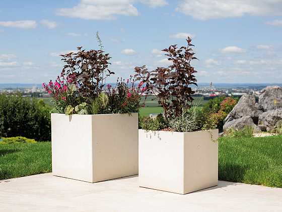 Správně osázené betonové květináče se vám odvděčí bujnou zelení (Zdroj: Presbeton)