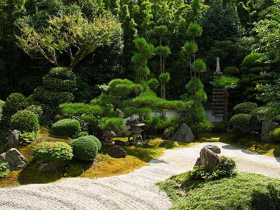 Magická síla japonské zahrady