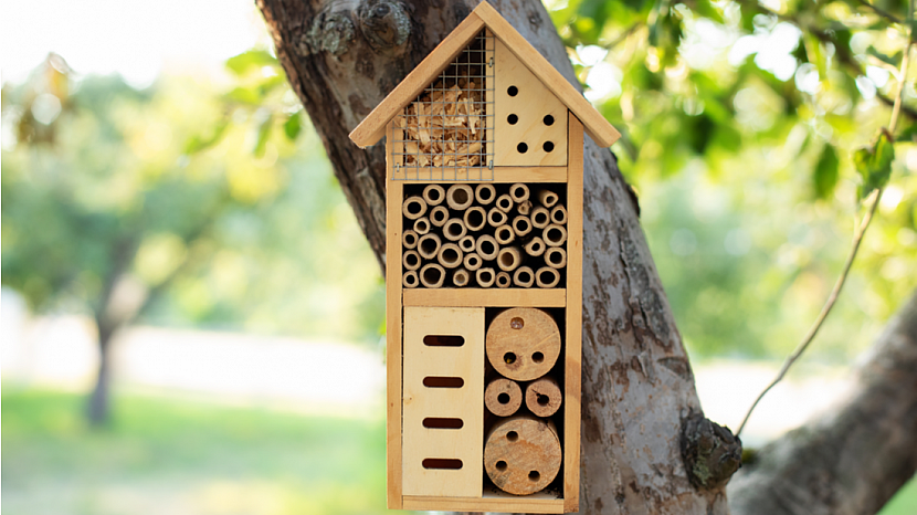 Hmyzí hotel – úkryt pro užitečný hmyz může být doma vyrobený i designový