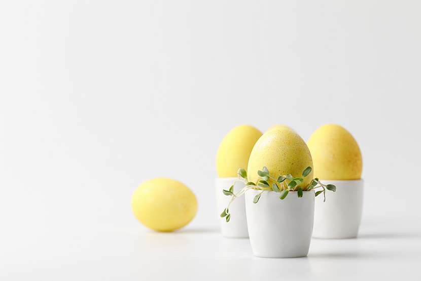 Pro velikonoční vajíčka je typické, že se objevují v květináčích