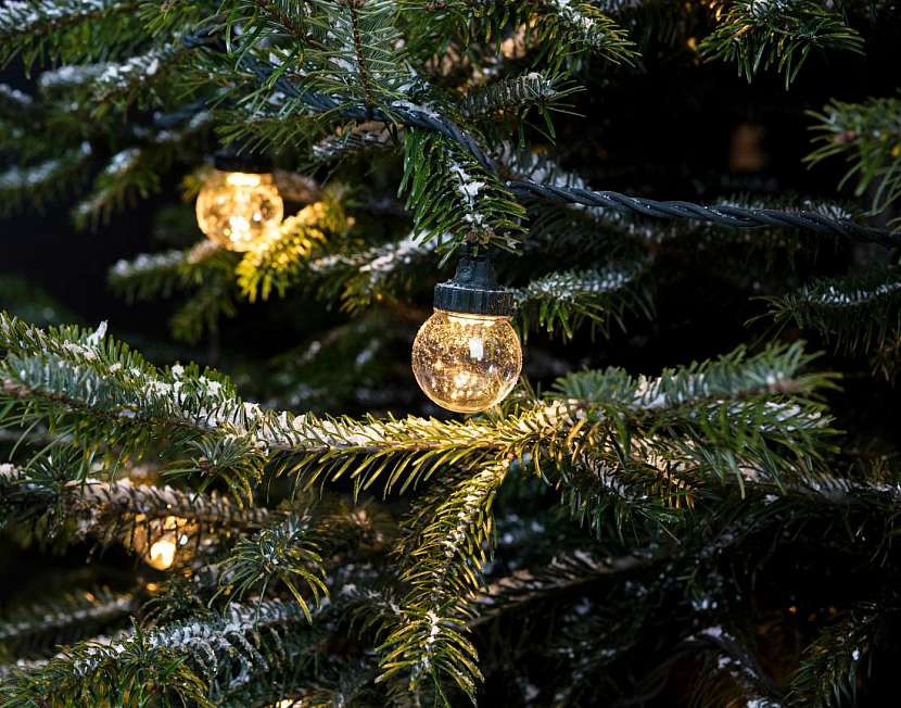 Detail venkovního vánočního stromu.