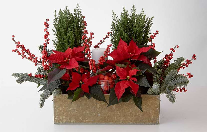Vyrobte si tuto vánoční dekoraci v&amp;nbsp;přírodním stylu. Jednodušší už to být nemůže!