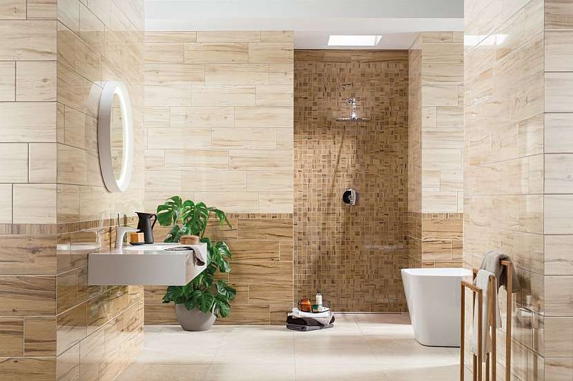 Co byste rádi v koupelně? Vanu nebo snad sprchový kout?