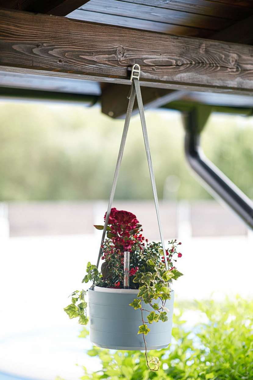 Závěsný samozavlažovací květináč Berberis usnadní pěstování.