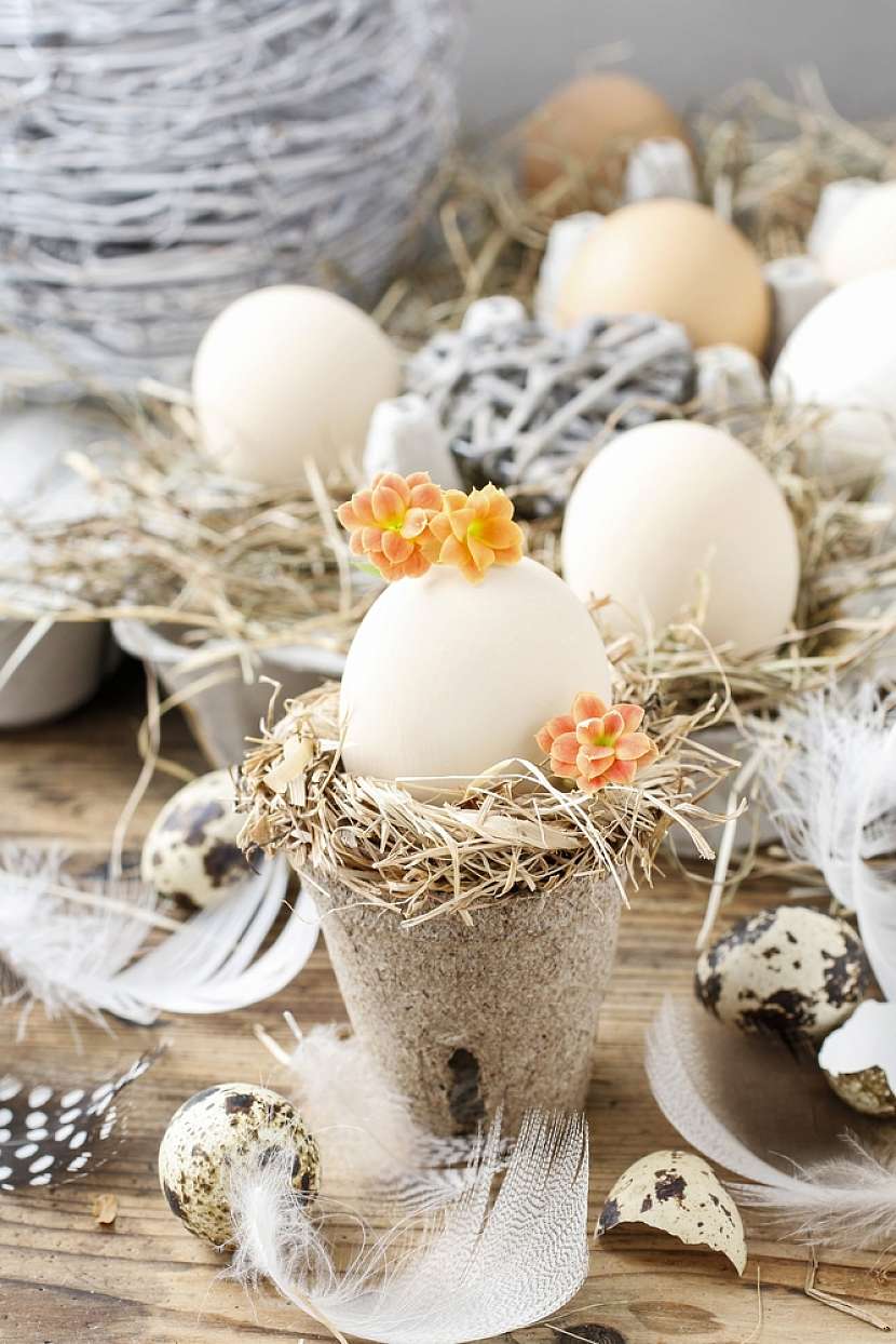 Variace na téma vázička z vajíčka v platu na vajíčka.