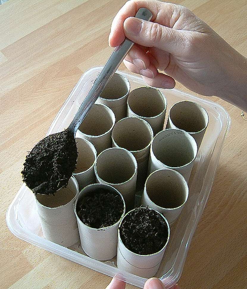Jak si udělat papírové kontejnery pro výsadbu semen