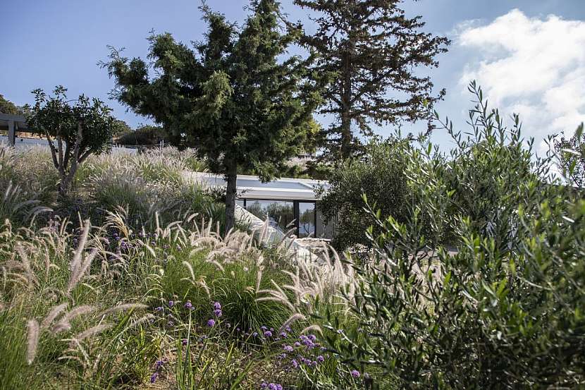 Na řeckém ostrově Paros vznikl dům skrytý zrakům kolemjdoucích i všudypřítomným očím satelitů Google. Je totiž zapuštěný do svahu a střechu má porostlou tamější květenou.