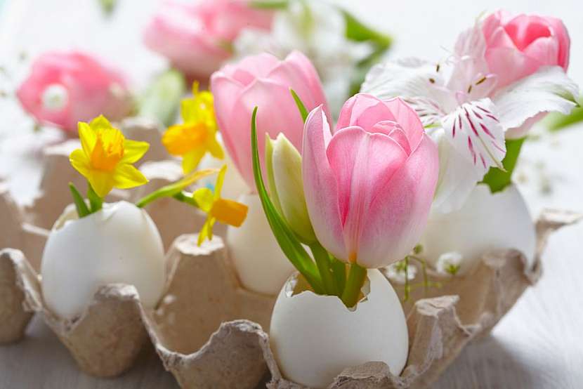 Květinová dekorace, jen nezapomeňte do vajíčka vložit vodou nasátou aranžovací hmotu, aby květiny dlouho vydržely.