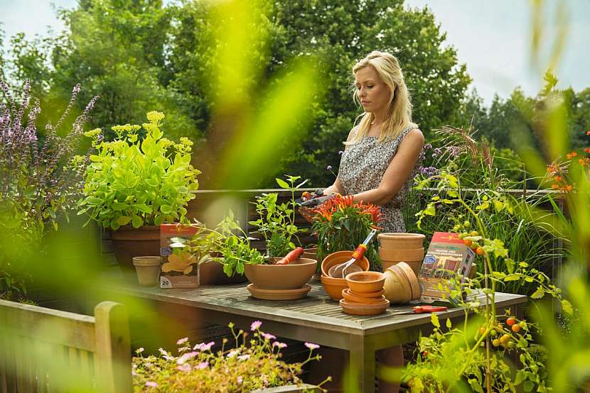 Zahradničení na balkoně bude vaším oblíbeným relaxem.