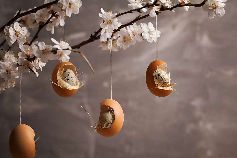 ... dekorační vajíčka lze také zavěsit na větvičky.