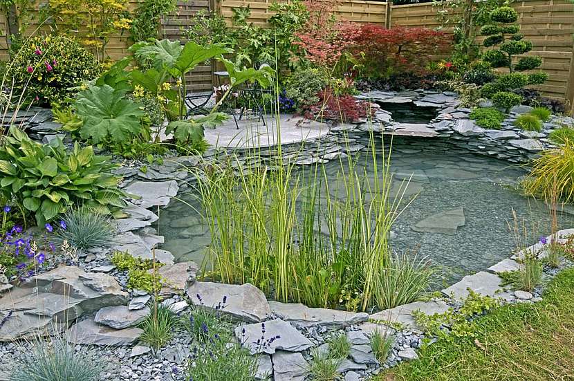 Voda na zahradě může mít mnoho podob: jezírko, potůček, malý vodopád nebo koupátko pro ptáky.