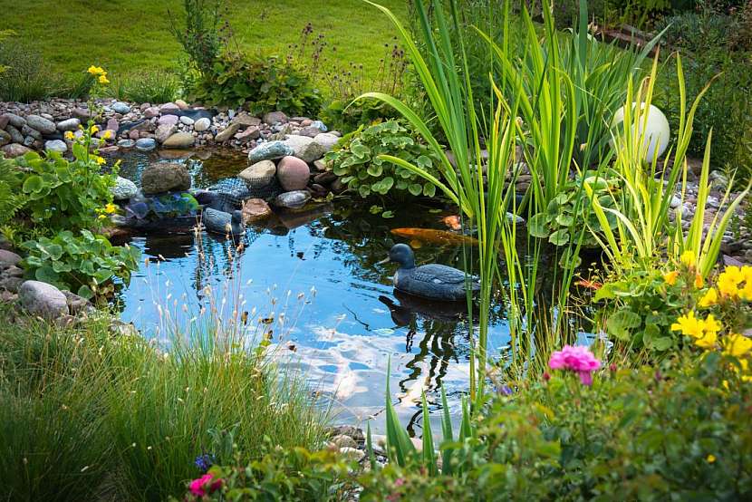 Voda na zahradě může mít mnoho podob: jezírko, potůček, malý vodopád nebo koupátko pro ptáky.