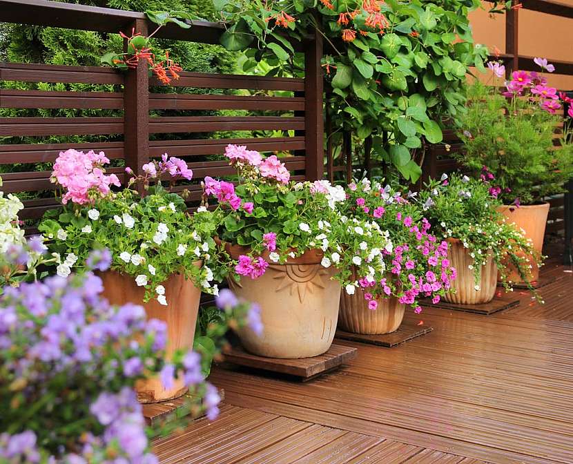 Využijte dokonale venkovní prostor a vytvořte si letní bydlení na zahradě
