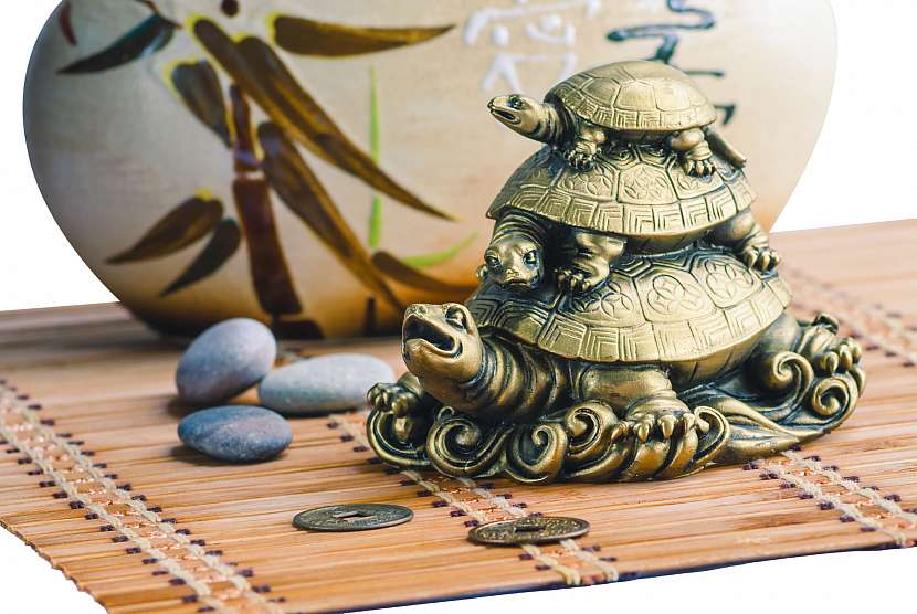 Číňané považují sošky dračích želviček za symboly prosperity