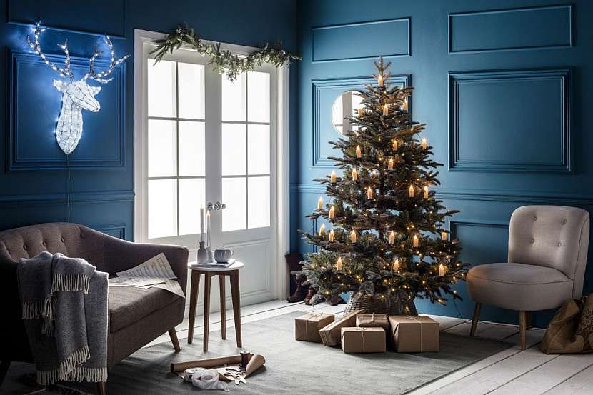 Tipy, jak vybrat pěkný vánoční stromek