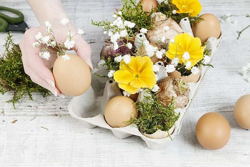 Podobnou dekoraci a s postupem najdete v našem článku: Vytvořte si velikonoční květinovou dekoraci s barevnými vajíčky, tulipány, fréziemi a buxusem.