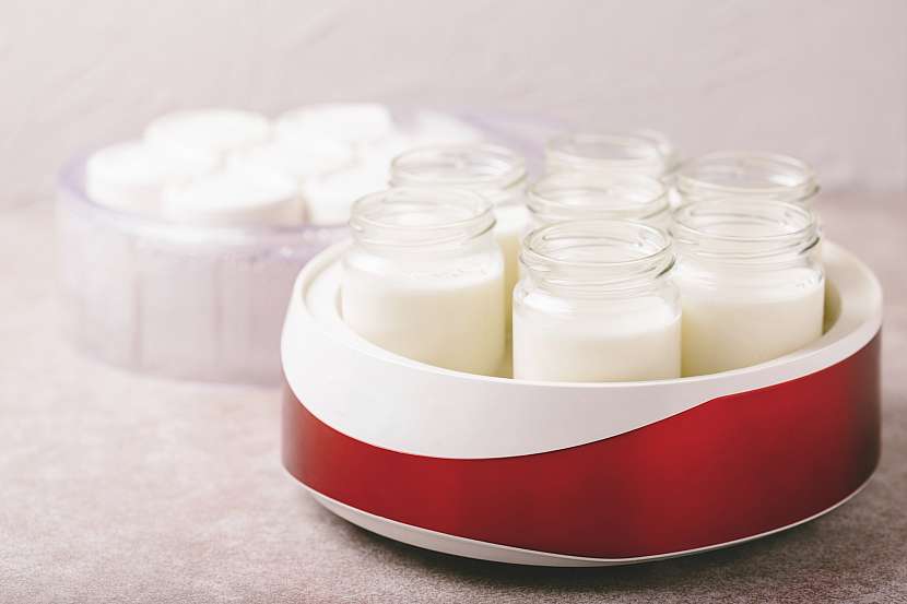 Vícenádobové jogurtovače umožní individuální přípravu v každé sklenici