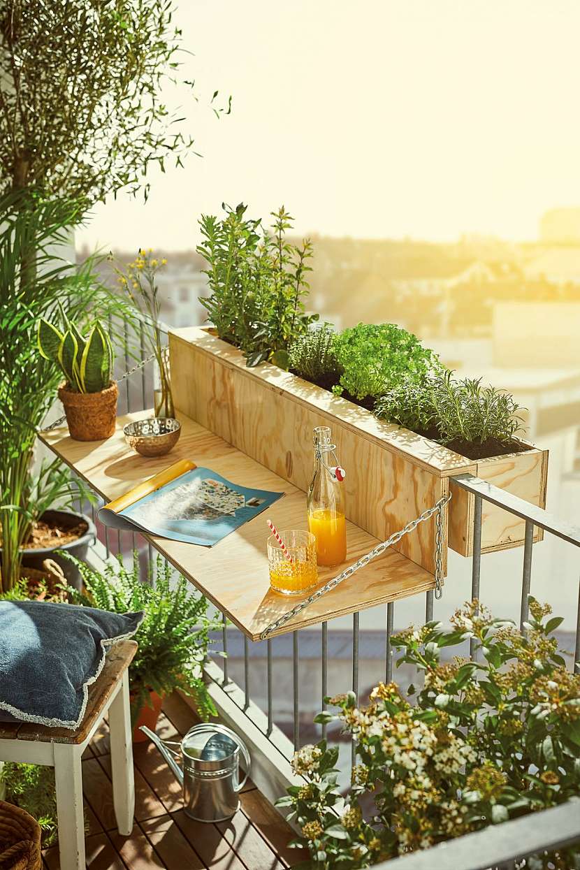Na balkoně vypěstujete ovoce, zeleninu i bylinky. Kterým se tam bude dařit nejlépe?