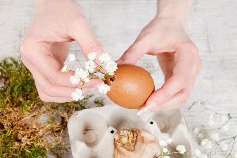 Květinářka radí, jak vyrobit úžasnou velikonoční dekoraci z obyčejného plata od vajec