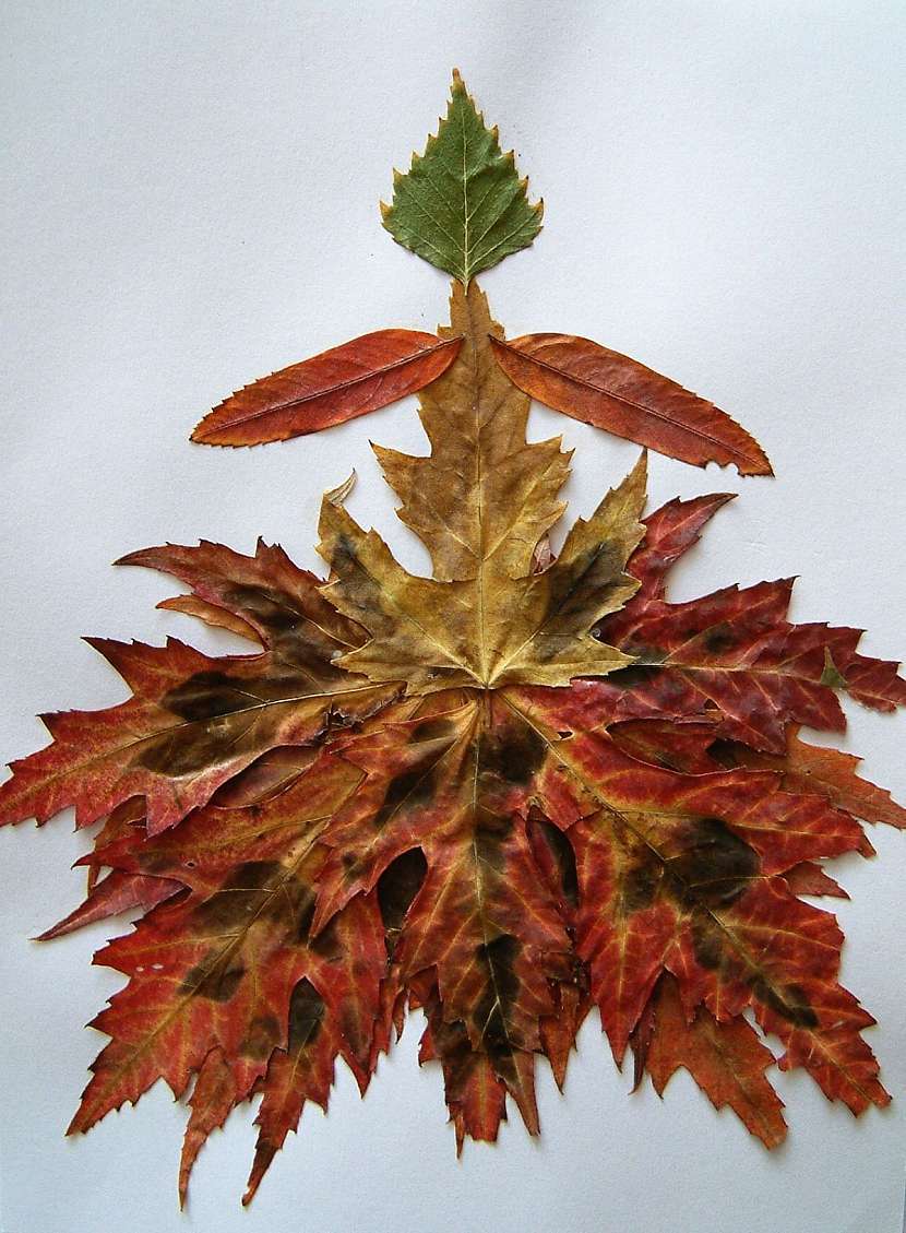 Tvoření z listí