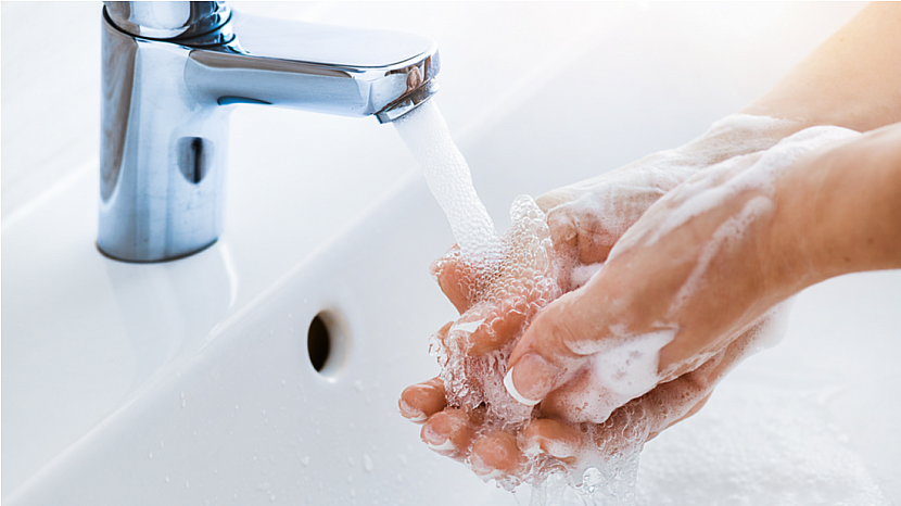 Na čem je v koupelně nejvíc bakterií a jak před nimi ochránit zubní kartáček?