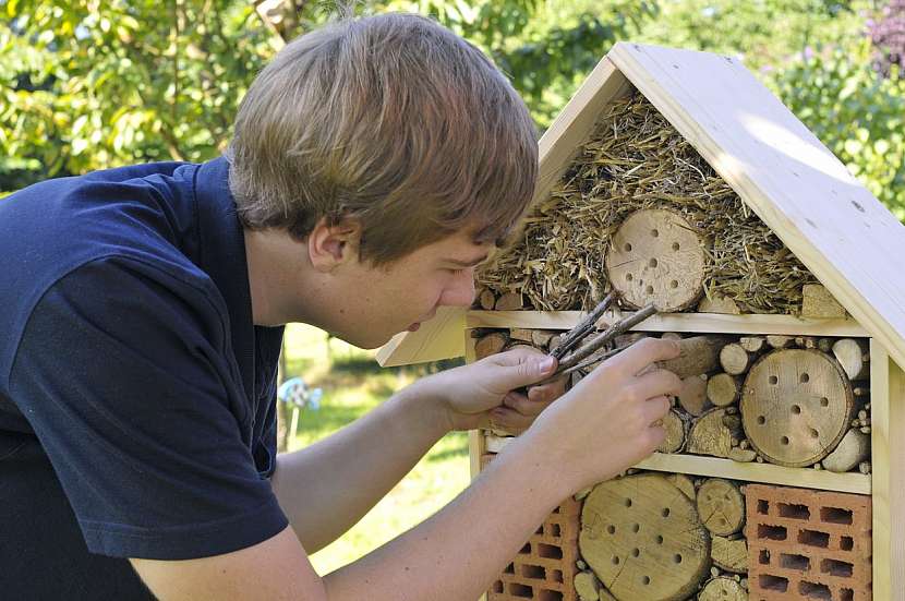 Hmyzí hotel – úkryt pro užitečný hmyz může být doma vyrobený i designový