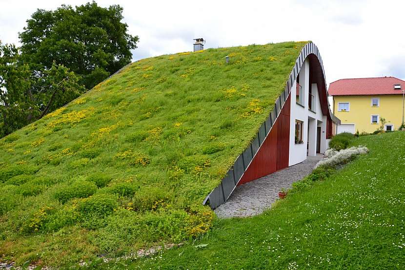 Zelené střechy – ekologické i ekonomické řešení pro každý dům