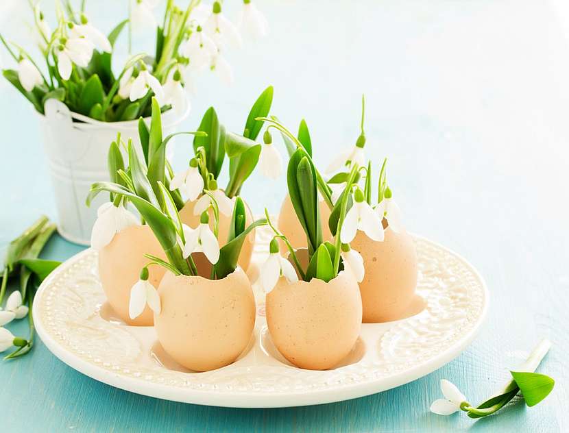 Květinová dekorace, jen nezapomeňte do vajíčka vložit vodou nasátou aranžovací hmotu, aby květiny dlouho vydržely.