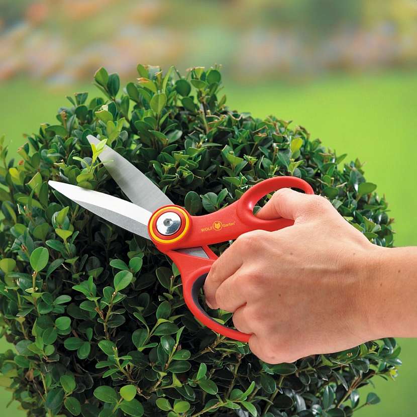 Nůžky využijete při úpravě rostlin či sběru bylinek.