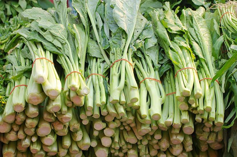 Čínská brokolice zvaná kai lan je velmi často používána v asijské kuchyni