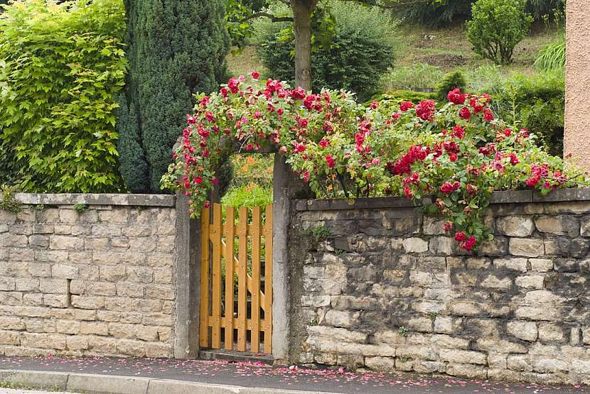 Zahradní branky, vrátka a&amp;nbsp;vrata – inspirace pro vás