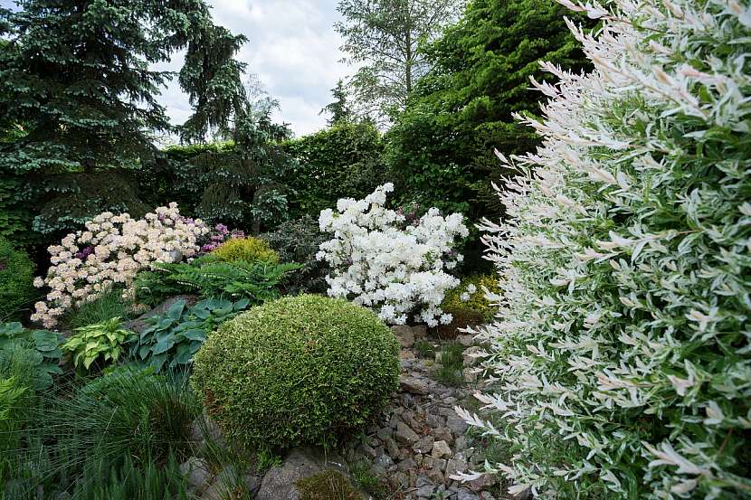Zahrada může být oděná do bílé barvy květů po celý rok