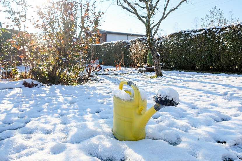 Zahrada v lednu rozhodně nespí, pokud není potřeba sklepat nánosy sněhu, vrhněte se třeba na prořezávku některých dřevin (Zdroj: Depositphotos (https://cz.depositphotos.com))