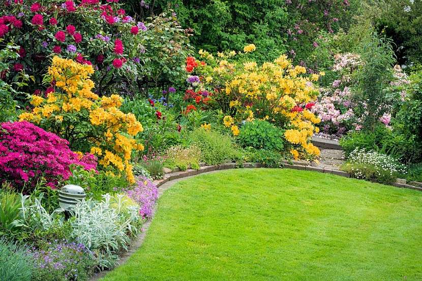 Nejkrásnější okrasné keře pro vaši zahradu
