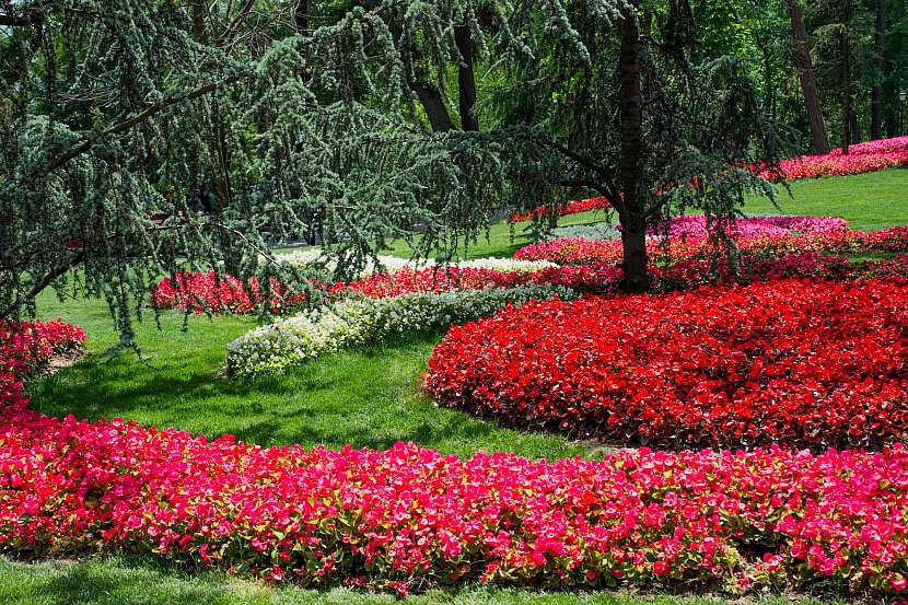 Zahrada v červené barvě dokáže přitáhnout pohledy kolemjdoucích