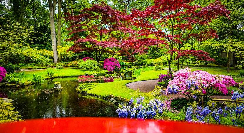 Modrá zahrada – uklidňující oáza pro vaše smysly