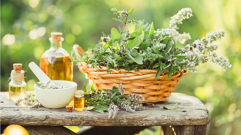 Přírodní aromaterapie na zahradě
