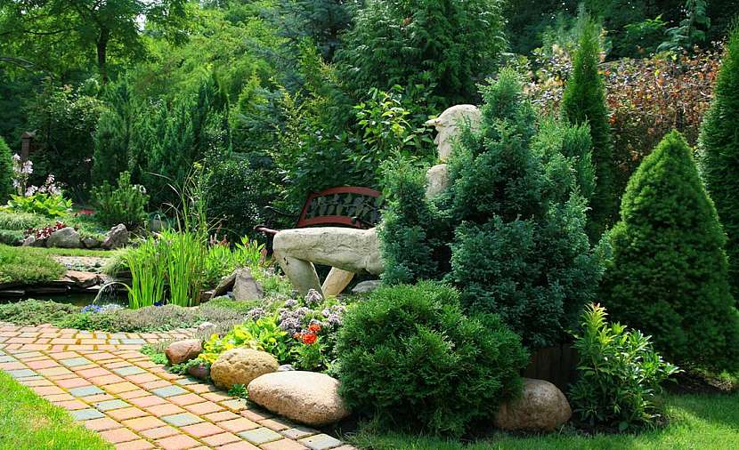 Architekt radí: Jak osázet zahradu, aby byla krásná celý rok