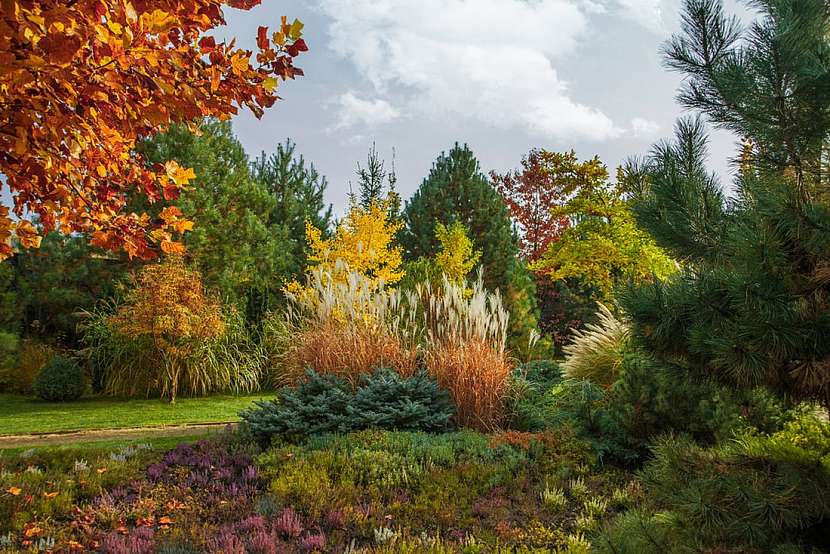 I podzimní zahrada může být plná jarních barev