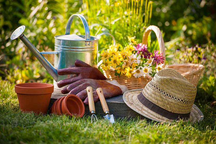 Zahradní rukavice: Pohodlné a bezpečné