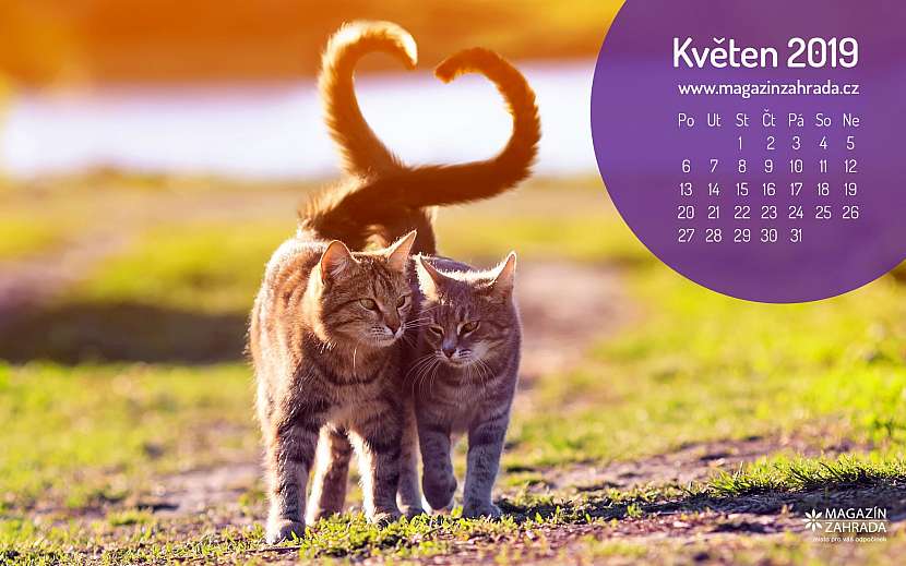 Wallpaper kalendáře na květen 2019