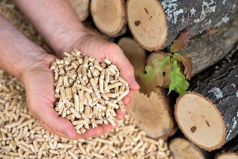 Srovnali jsme vytápění dřevem a peletami. Které je pro vás to pravé?
Zdroj: Shutterstock
