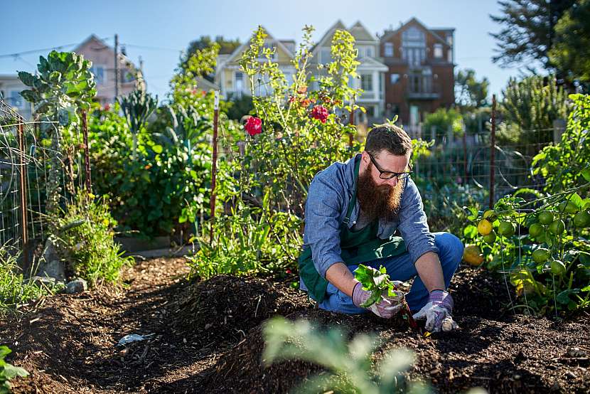 Zahradničení v guerilla stylu může být prospěšné pro společnost