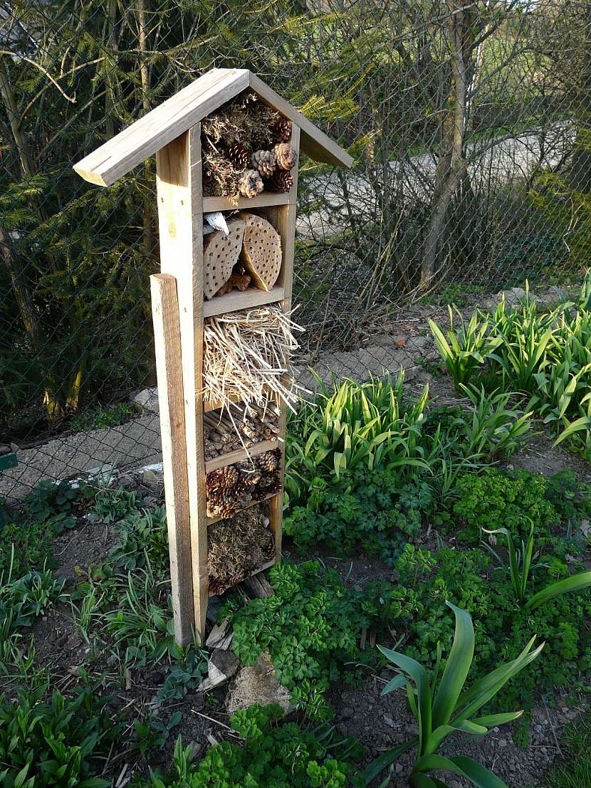 Vytvořte pro svou zahradu hmyzí hotel