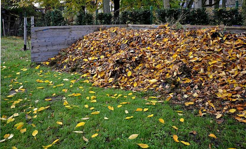 Využití spadaného listí v každé zahradě