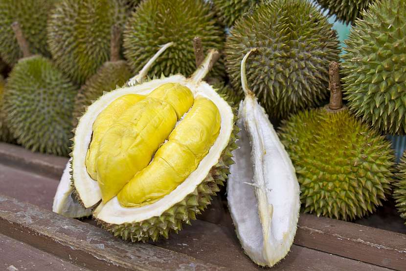 Jaký je rozdíl mezi jackfruitem, chlebovníkem a durianem?
