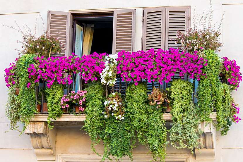 Balkon plný květů jako u sousedů v Alpách