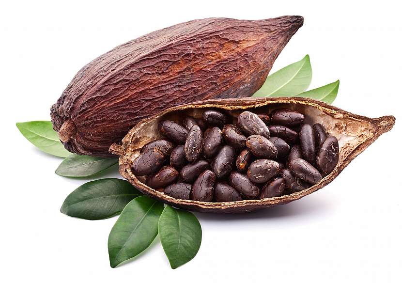 Kakaové boby mají různé využití