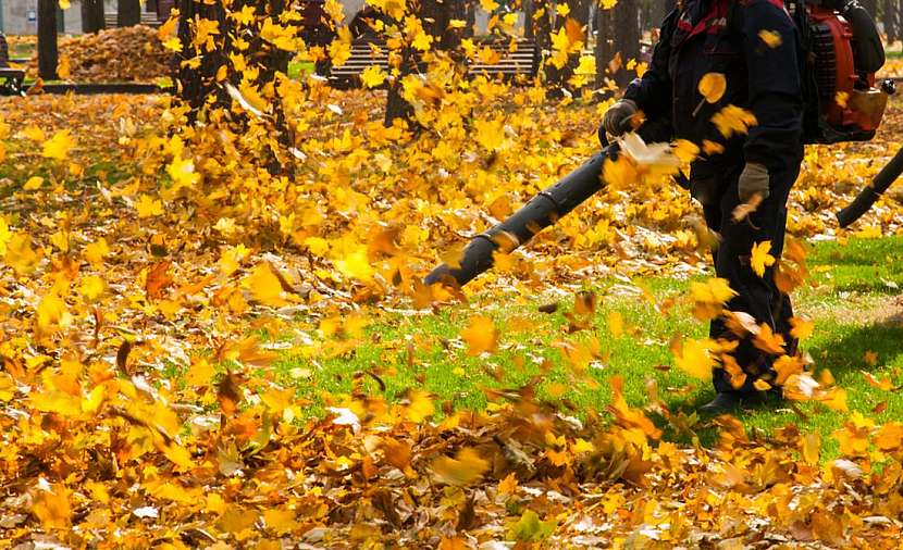 Zahradní hygiena v listopadu a jak na úklid zahrady