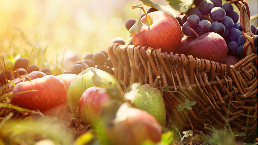 Jak ideálně doma skladovat ovoce a zeleninu?